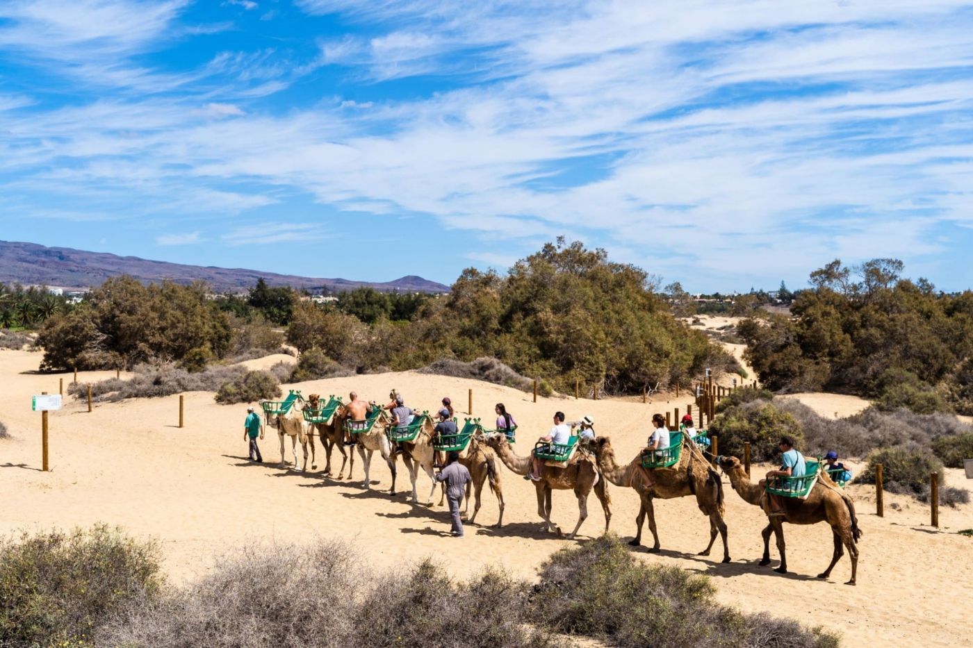 Grupo de personas paseando en camello por las dunas de maspalomas