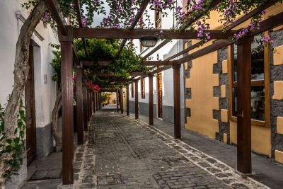 Precioso camino en Santa Brígida con flores alrededor sujetas a postes de madera