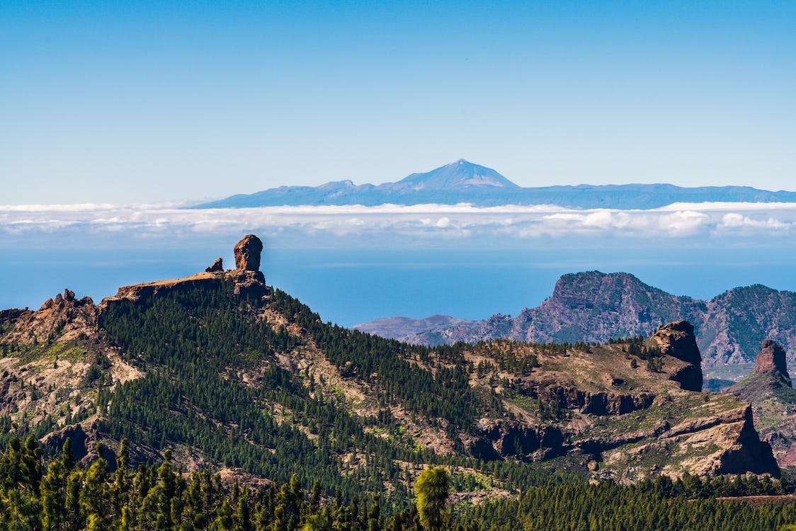 Roque Nublo among pine forest, with Mount Teide rising over a sea of clouds