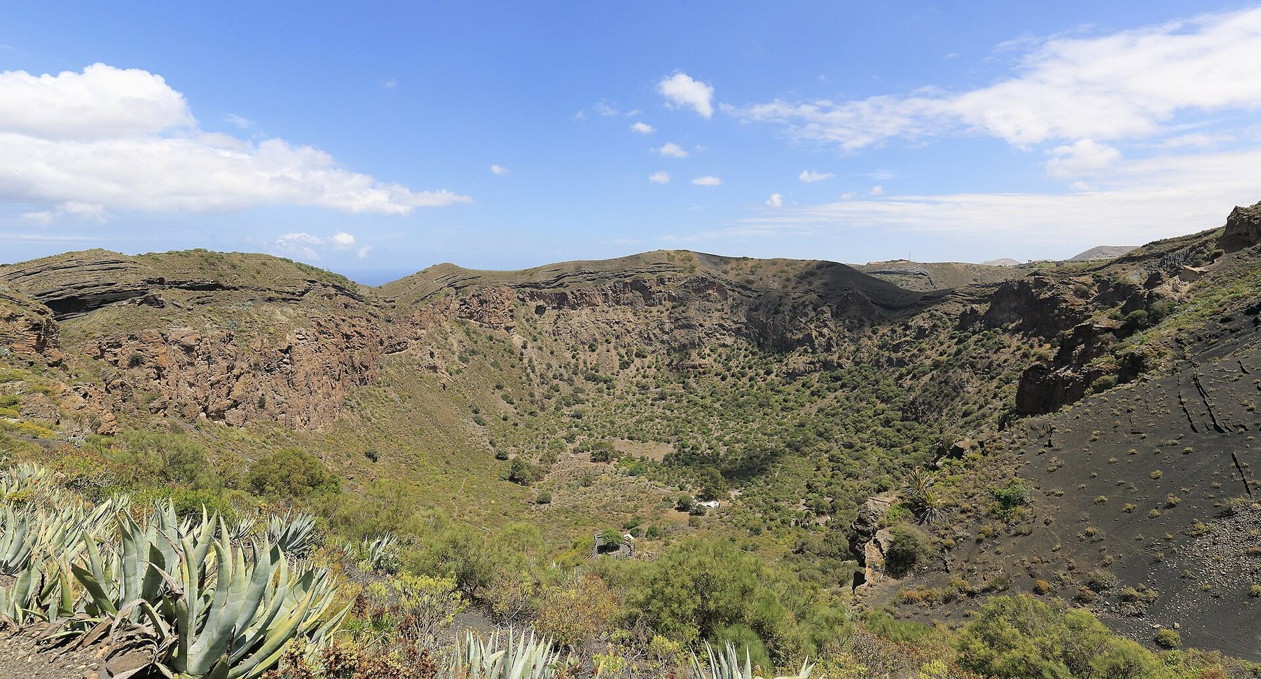 Bandama crater seen from the rim, with vegetation on the crater floor
