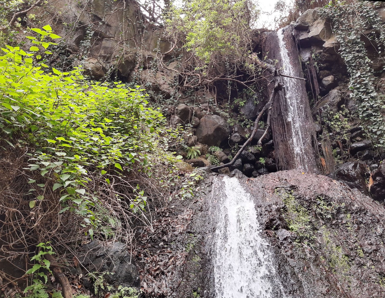 Cascada de agua y pozas de basalto en el Barranco de los Cernícalos, Gran Canaria