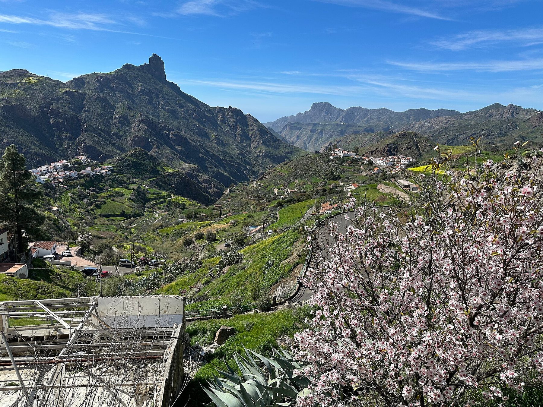 Almond blossom and Roque Bentayga above the Tejeda valley