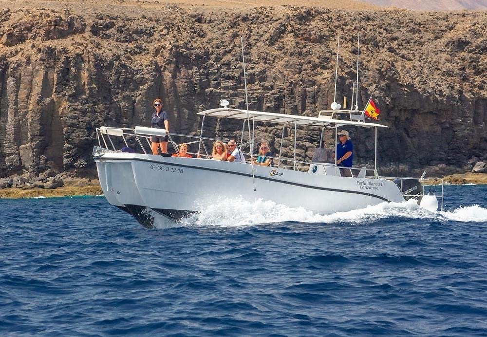 Midday sea safari (~2–3 h)
