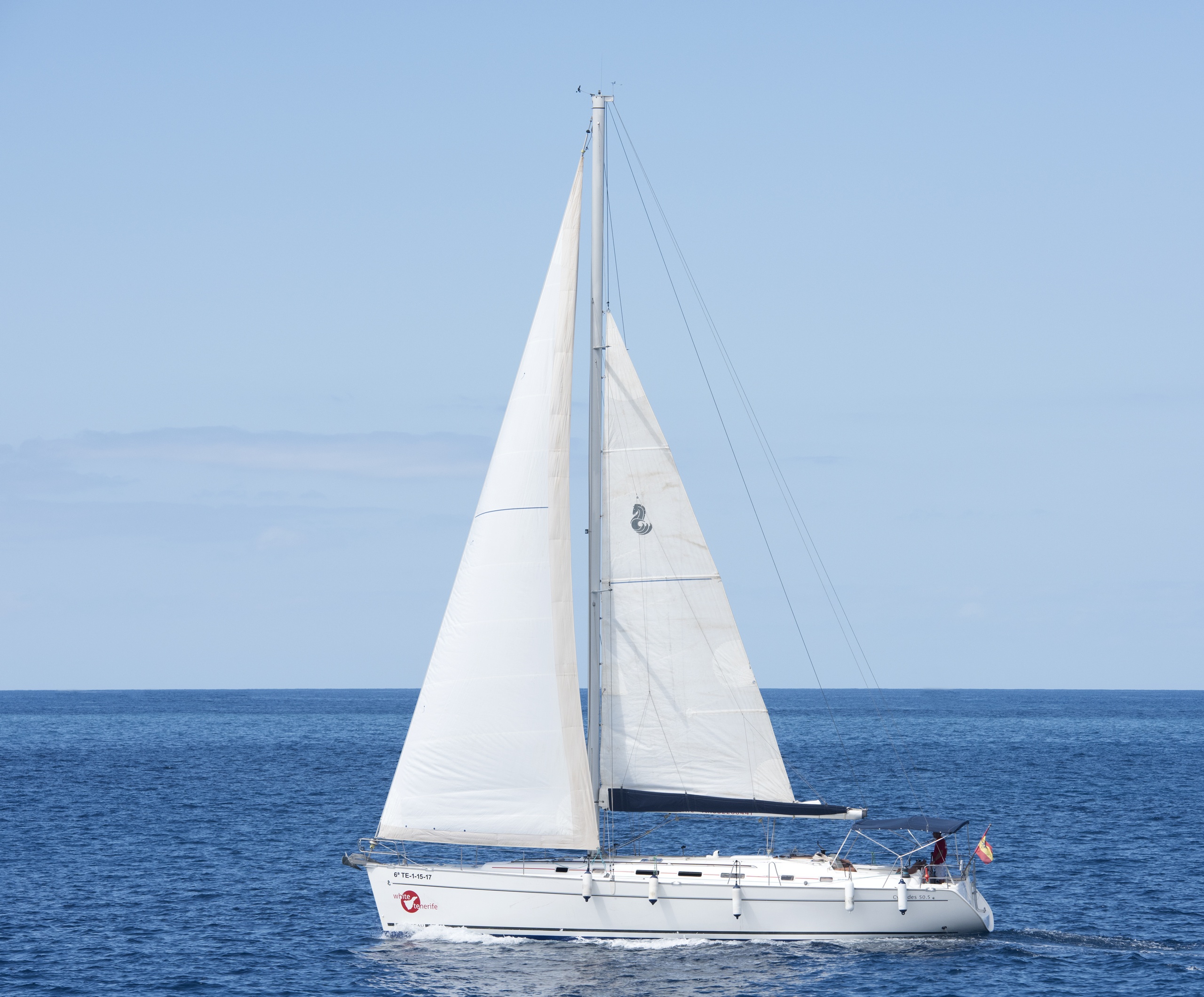 Ballenas y delfines en velero con snorkel