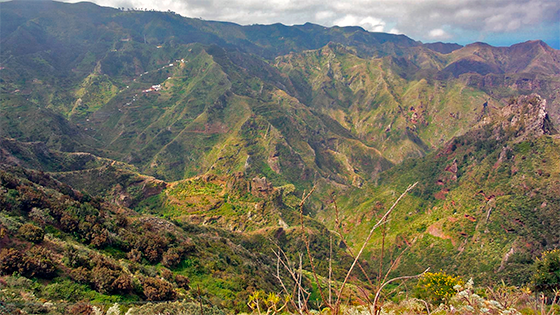 Route Cruz del Carmen – Chinamada – Punta del Hidalgo