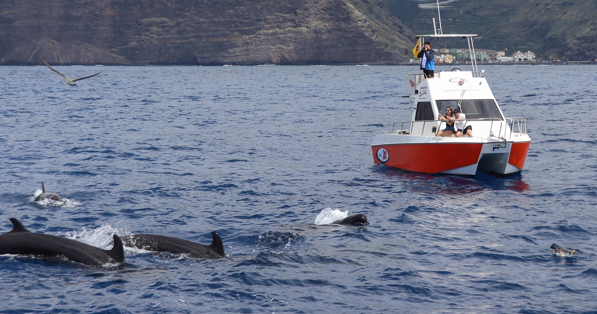 Costa oeste de La Palma en el Nemo