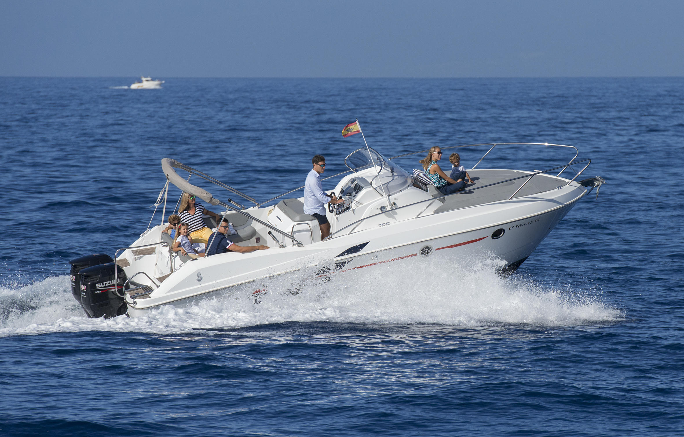 Tour motor compartido de ballenas y delfines
