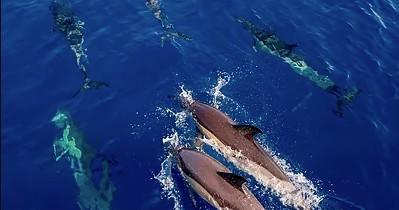 3 Hour Private Sail Tour on BLUE JACK SAIL