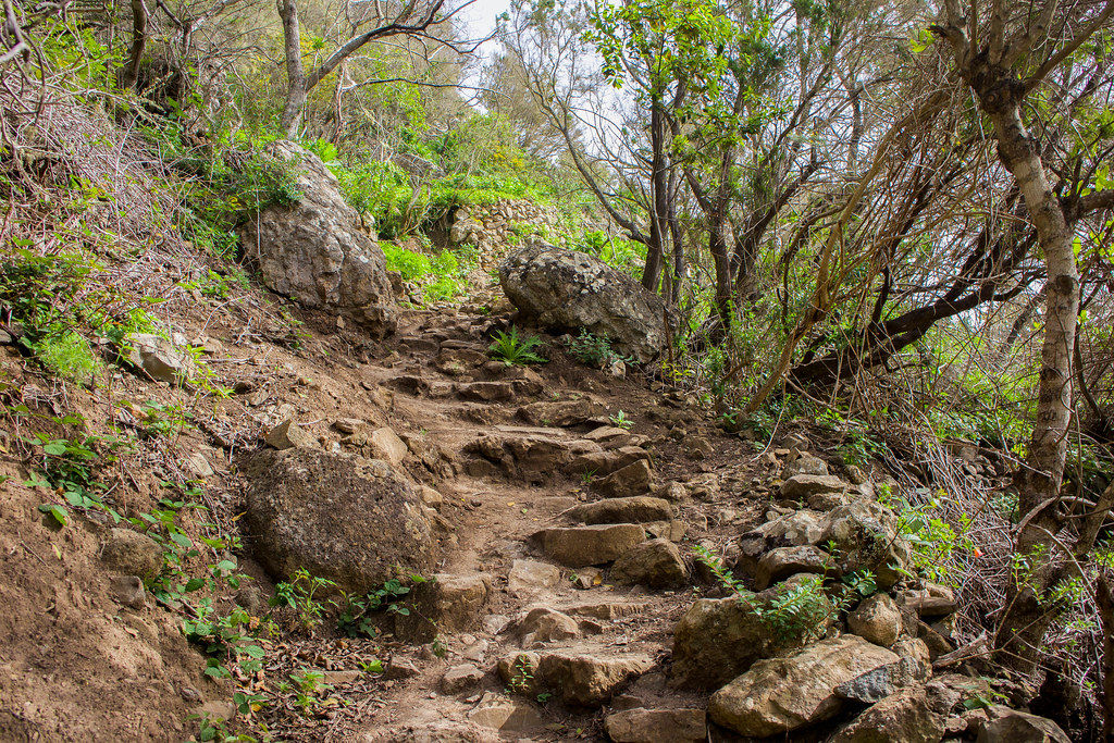 Chamorga Hiking Route-Tenerife, Anaga