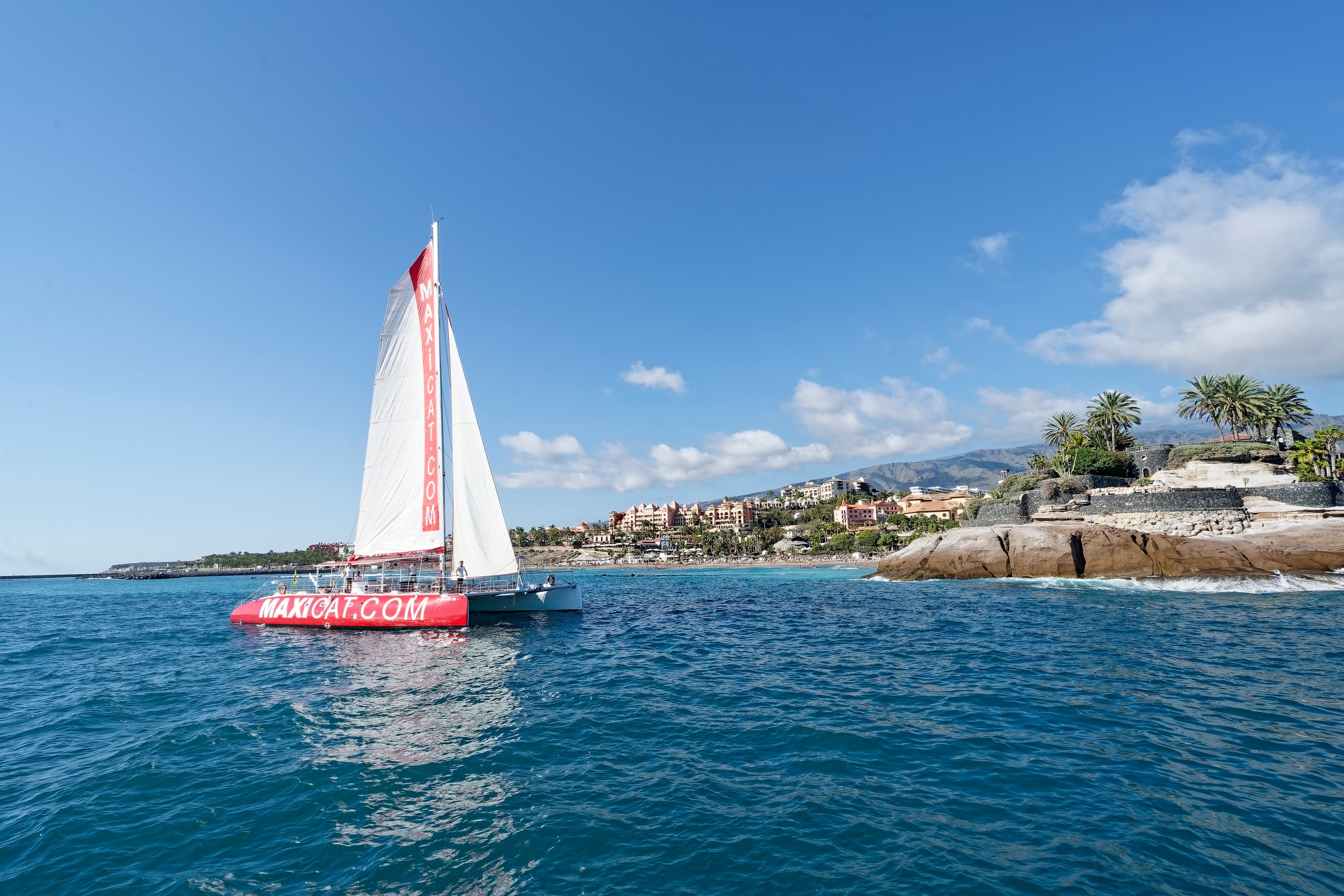 Ballenas y delfines en catamarán (3 h)