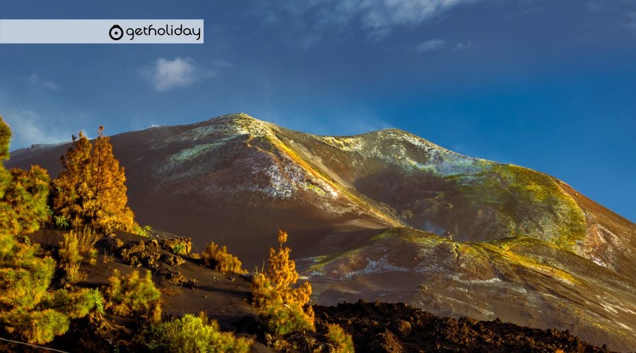 Excursión a La Palma y el Nuevo Volcán - Desde Tenerife Sur