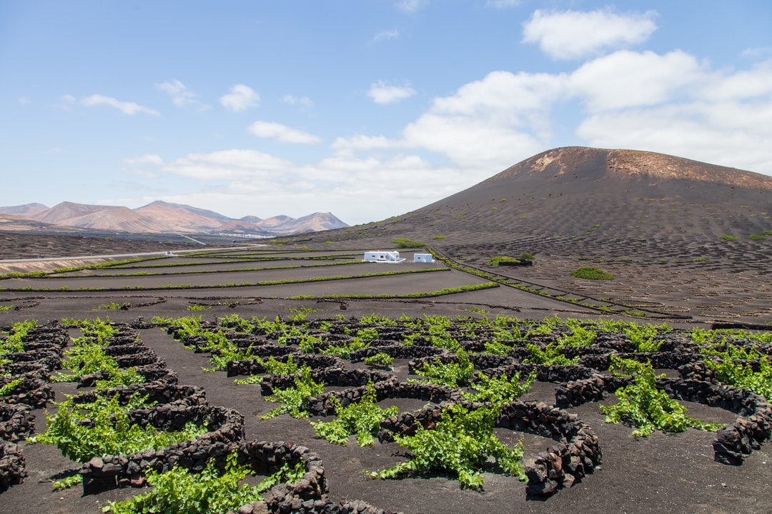 Visita al Parque Nacional de Timanfaya