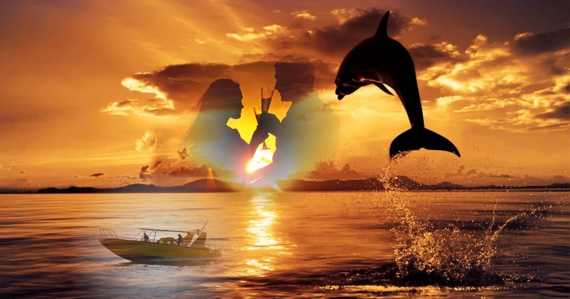 Sunset dolphin trip from Puerto del Carmen