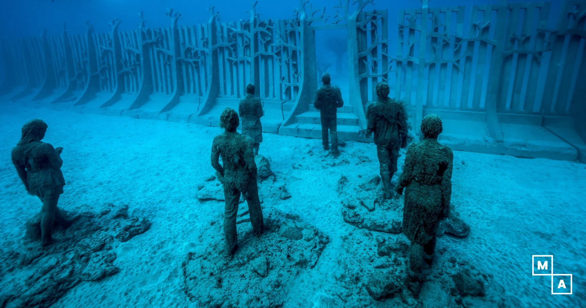 Two dives at the Atlantic Museum